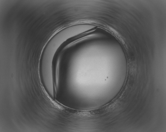 X0000082931186200702222211