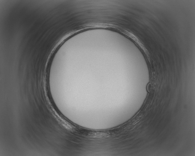 X0000082931187200702222211