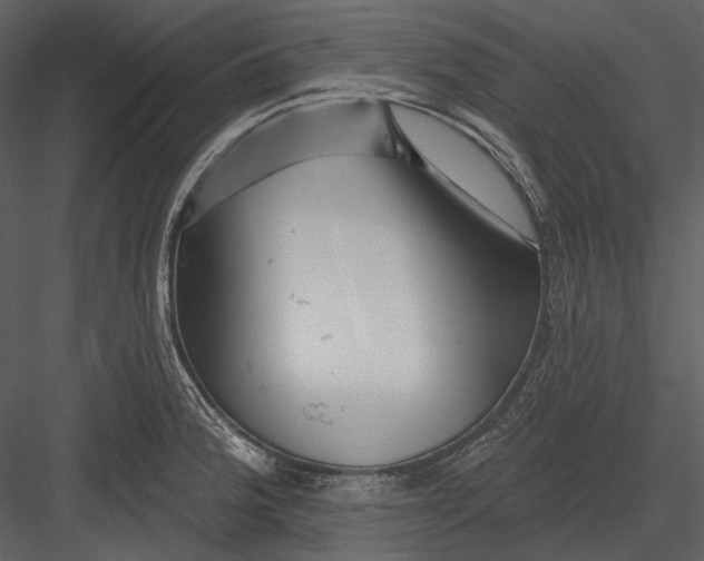 X0000082931188200702222211