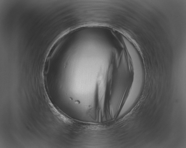 X0000082931189200702222211