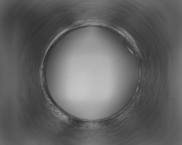 X0000082931190200702222211