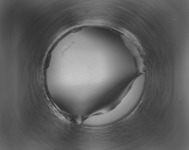 X0000082931192200702222211