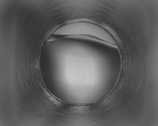 X0000082931193200702222211