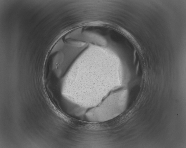 X0000082931194200702222211