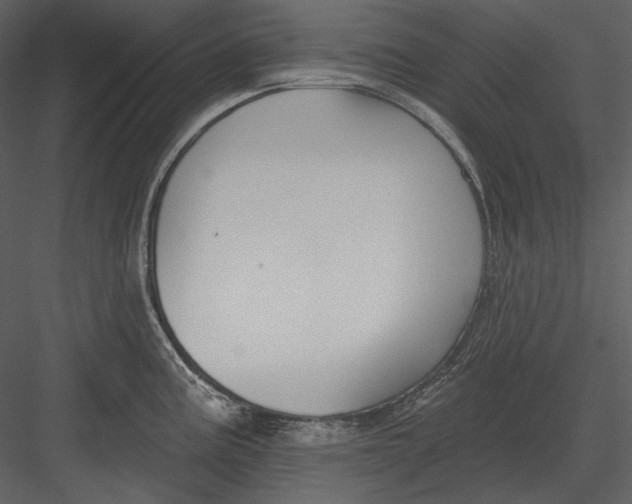 X0000082931195200702222211