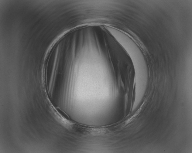 X0000082931196200702222211