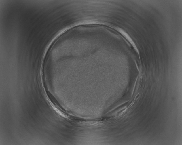 X0000082931197200702222211