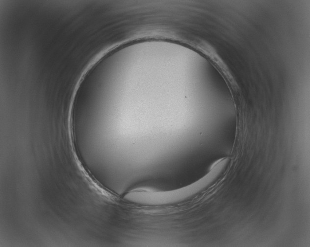 X0000082931199200702222211