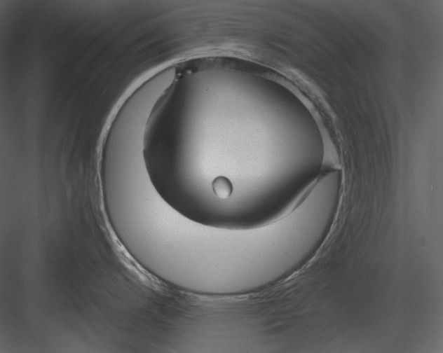 X0000082931200200702222211