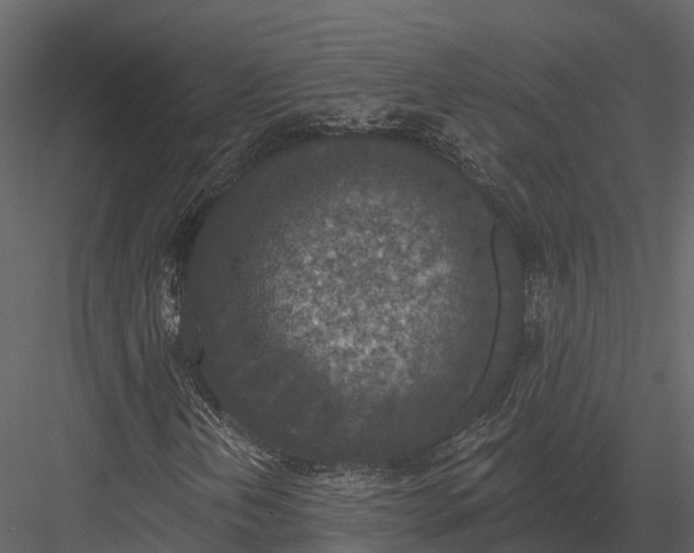 X0000082931202200702222210