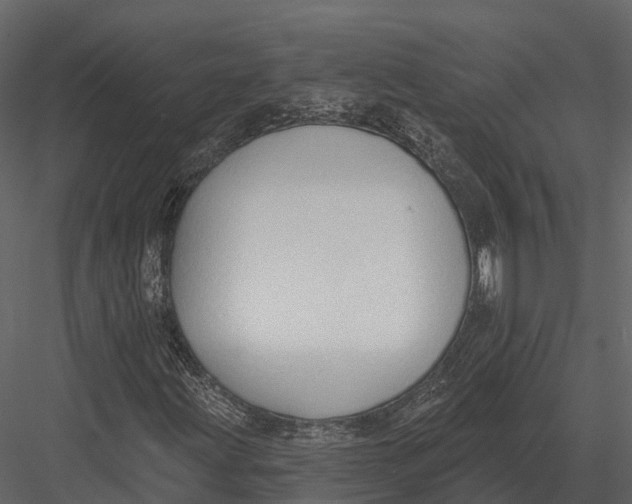 X0000082931203200702222210