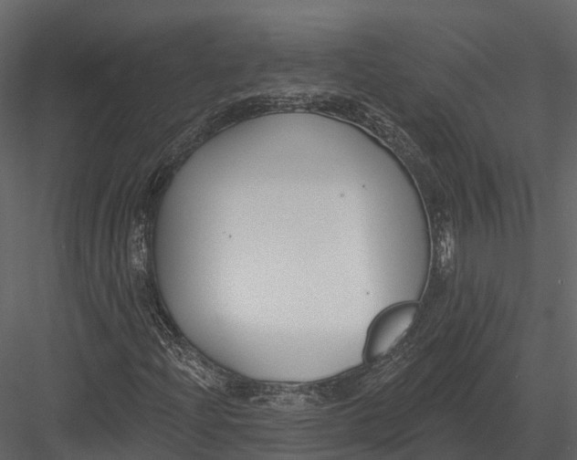 X0000082931204200702222210