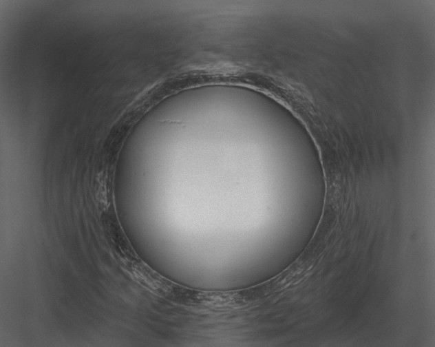 X0000082931205200702222210