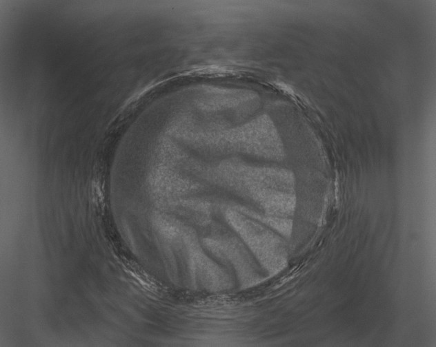 X0000082931206200702222210