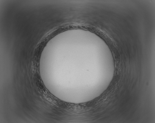 X0000082931207200702222210