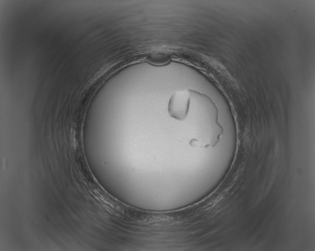 X0000082931209200702222210