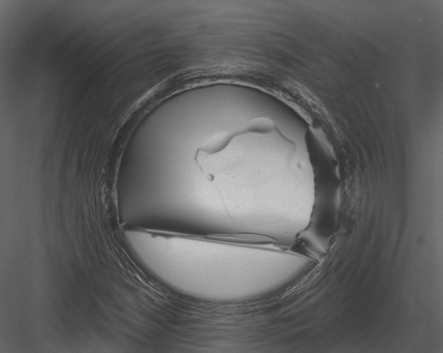 X0000082931210200702222210