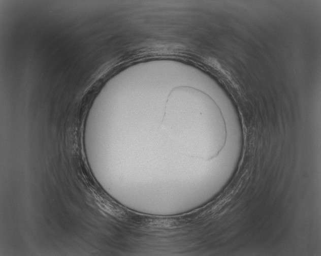 X0000082931211200702222210