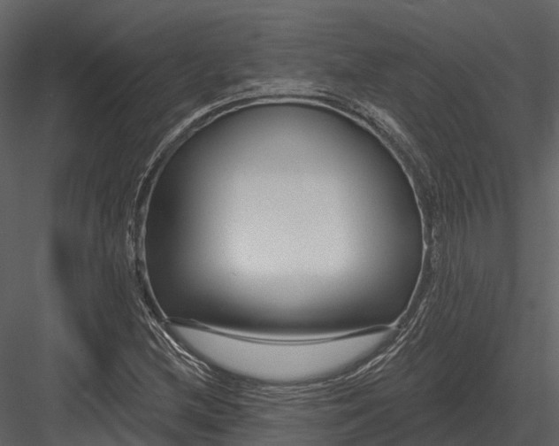 X0000082931212200702222210