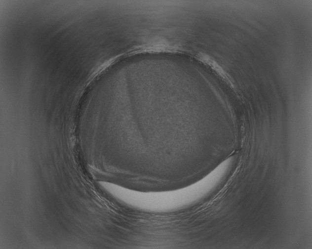 X0000082931213200702222210