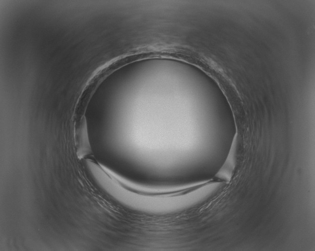 X0000082931214200702222210