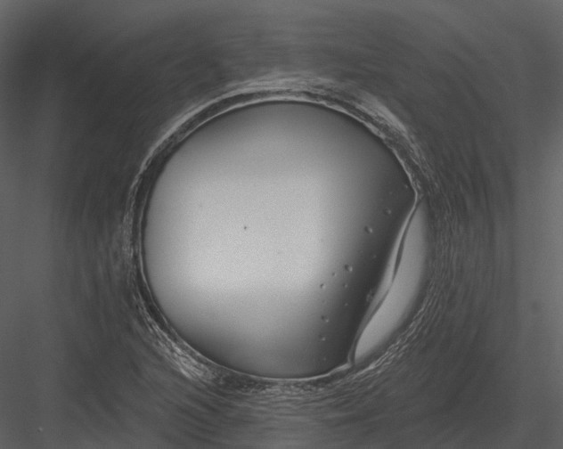 X0000082931216200702222210