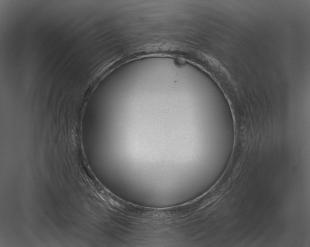 X0000082931217200702222210