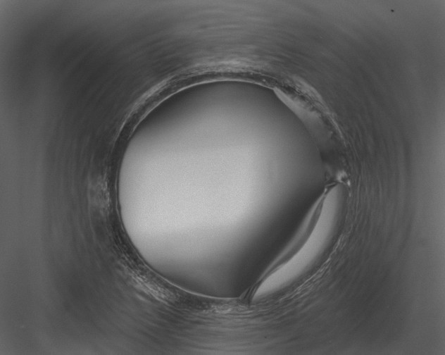 X0000082931218200702222210