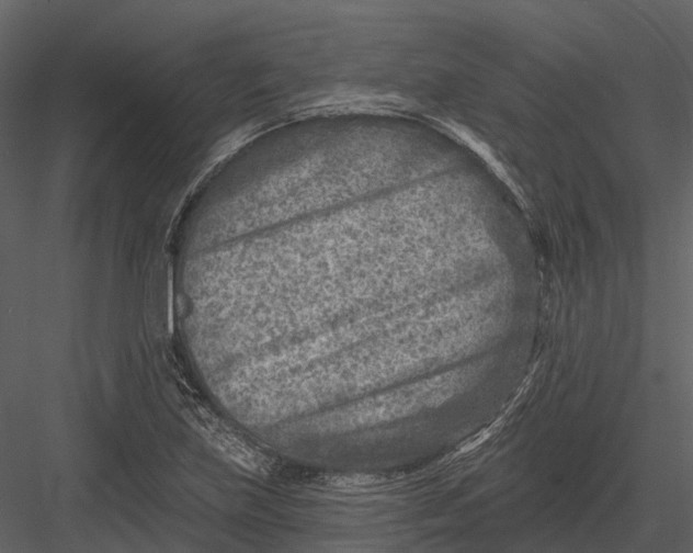 X0000082931219200702222211