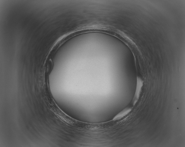 X0000082931222200702222211