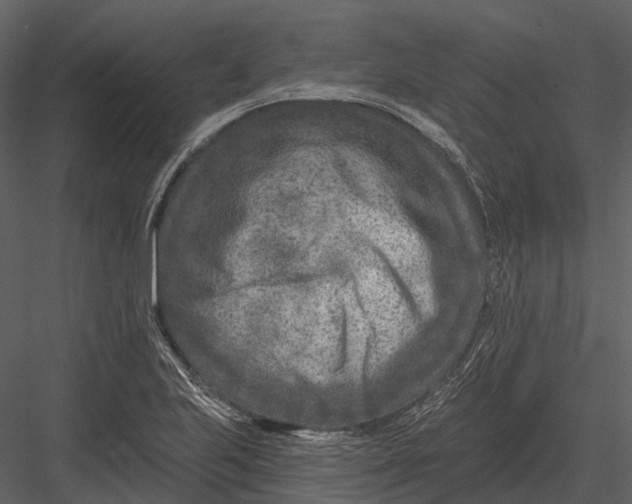 X0000082931223200702222211