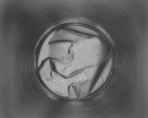 X0000082931224200702222211