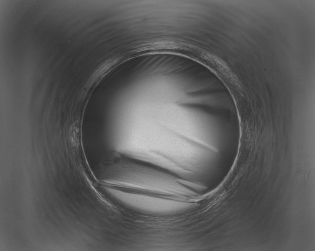 X0000082931225200702222211