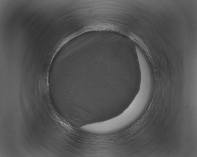 X0000082931226200702222211