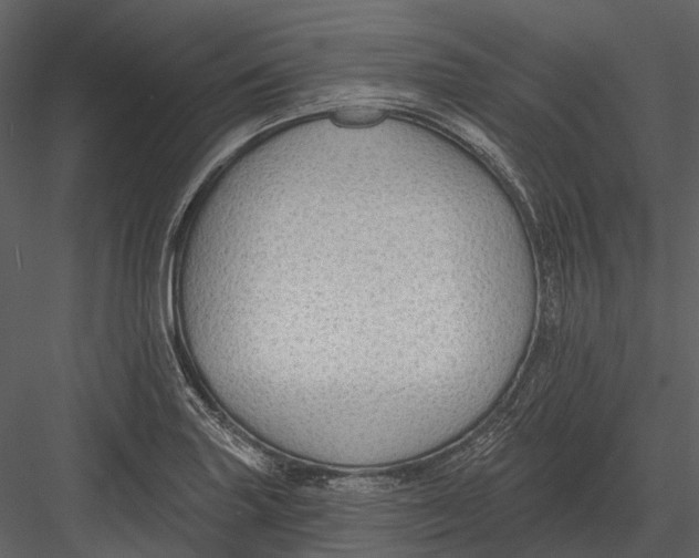 X0000082931227200702222211