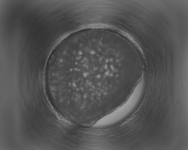 X0000082931229200702222211