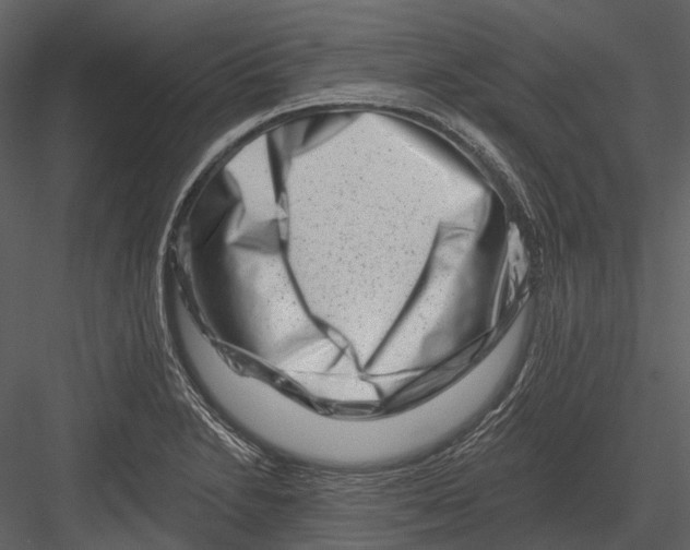 X0000082931230200702222211