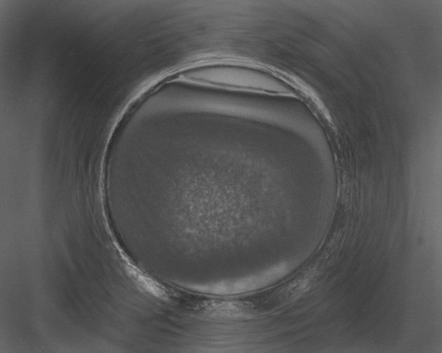 X0000082931231200702222211