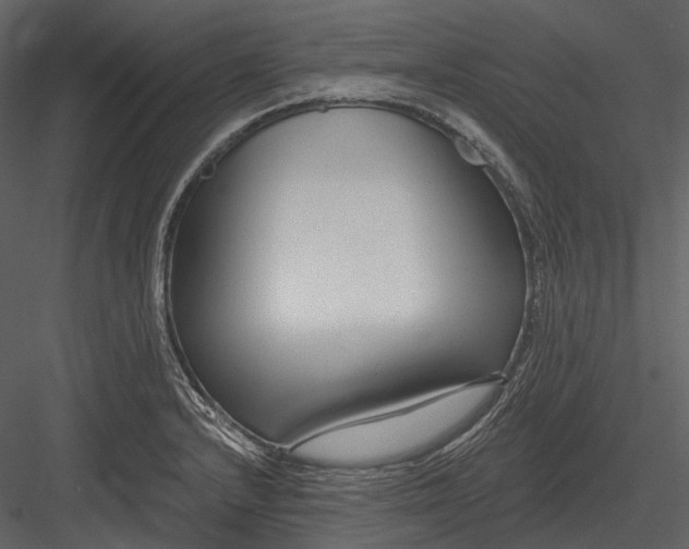 X0000082931232200702222211