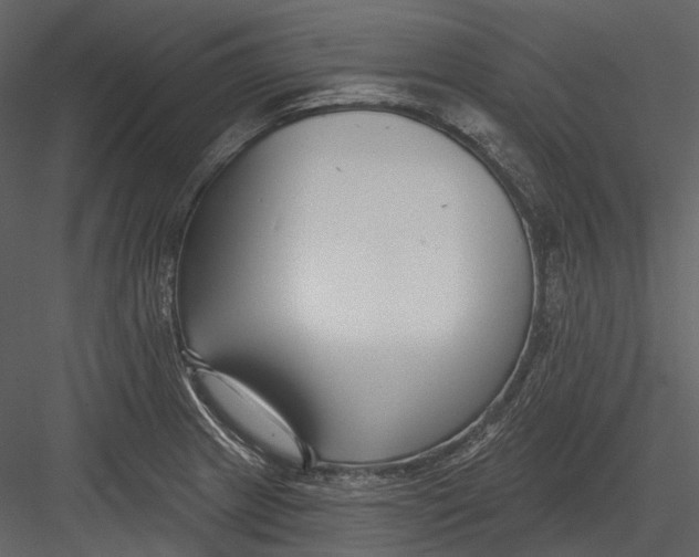 X0000082931233200702222211