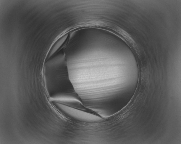 X0000082931234200702222211