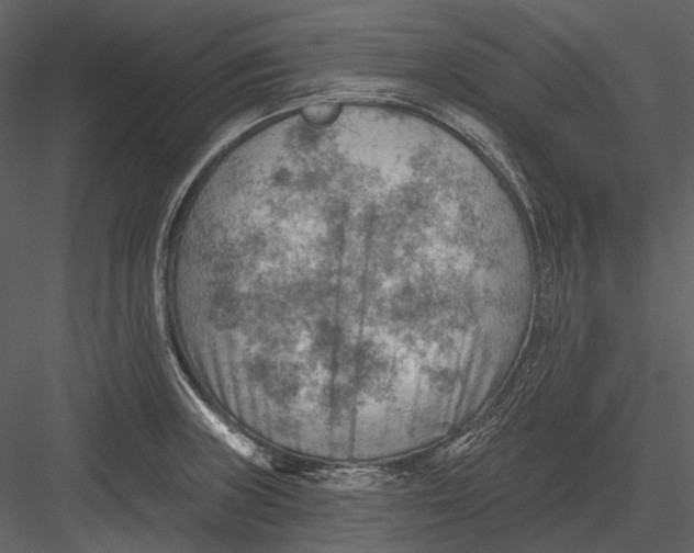 X0000082931235200702222211