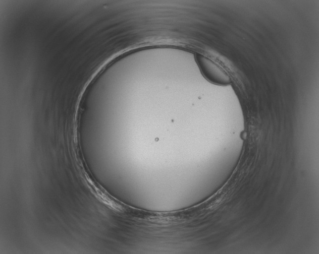 X0000082931236200702222211