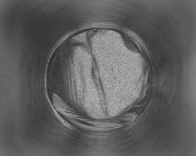 X0000082931237200702222211