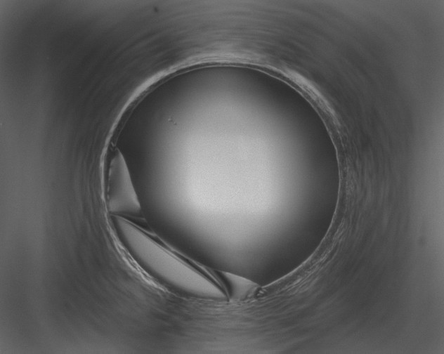 X0000082931238200702222211