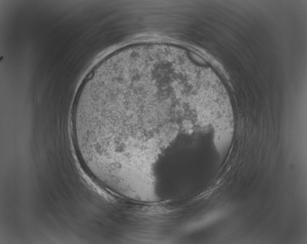 X0000082931239200702222211