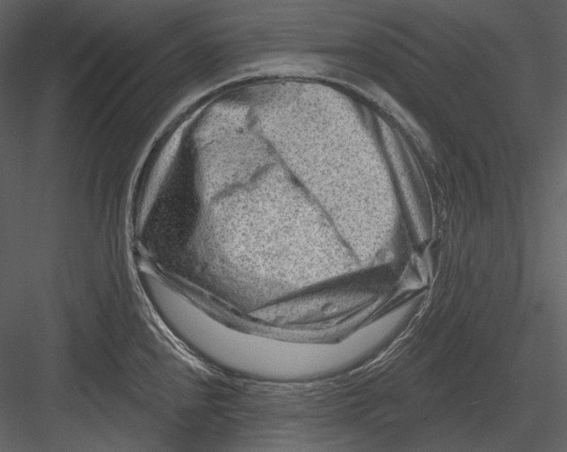 X0000082931240200702222211