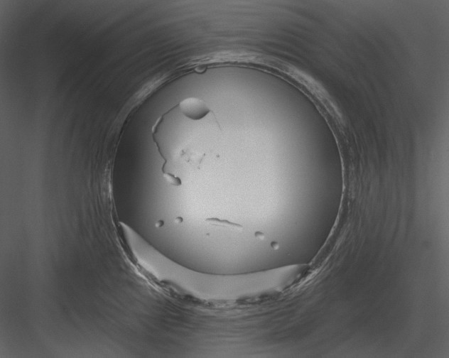 X0000082931241200702222211