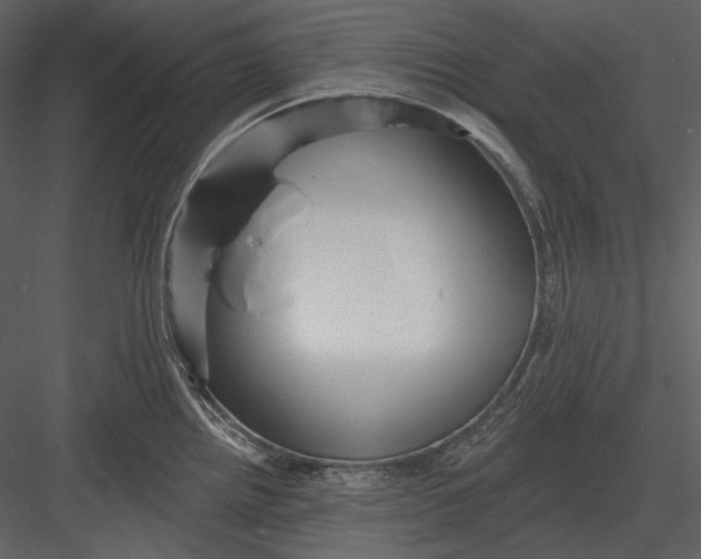 X0000082931242200702222211