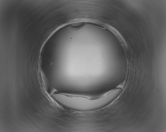 X0000082931244200702222211